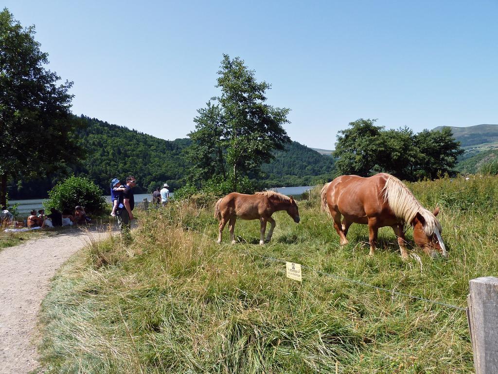 Les Chenets Chambon-sur-Lac